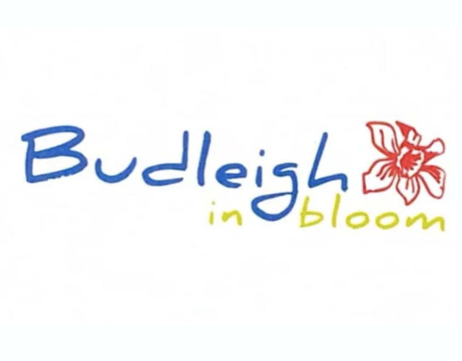 Budleigh in Bloom volunteering