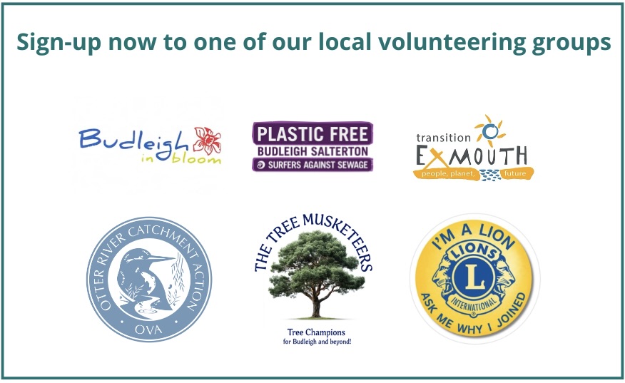 A page showing how to volunteer for different local groups ...