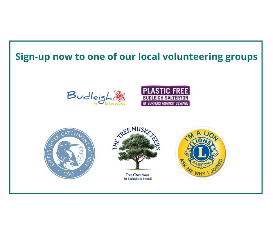 Volunteer with one of the groups
