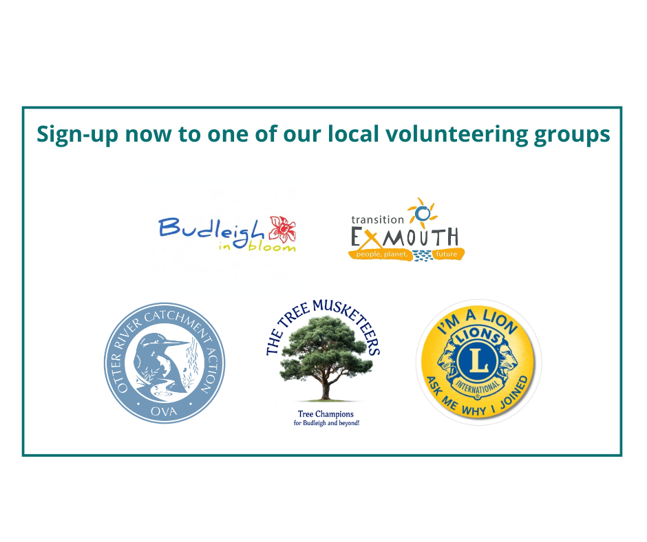 Why not volunteer with a local group?