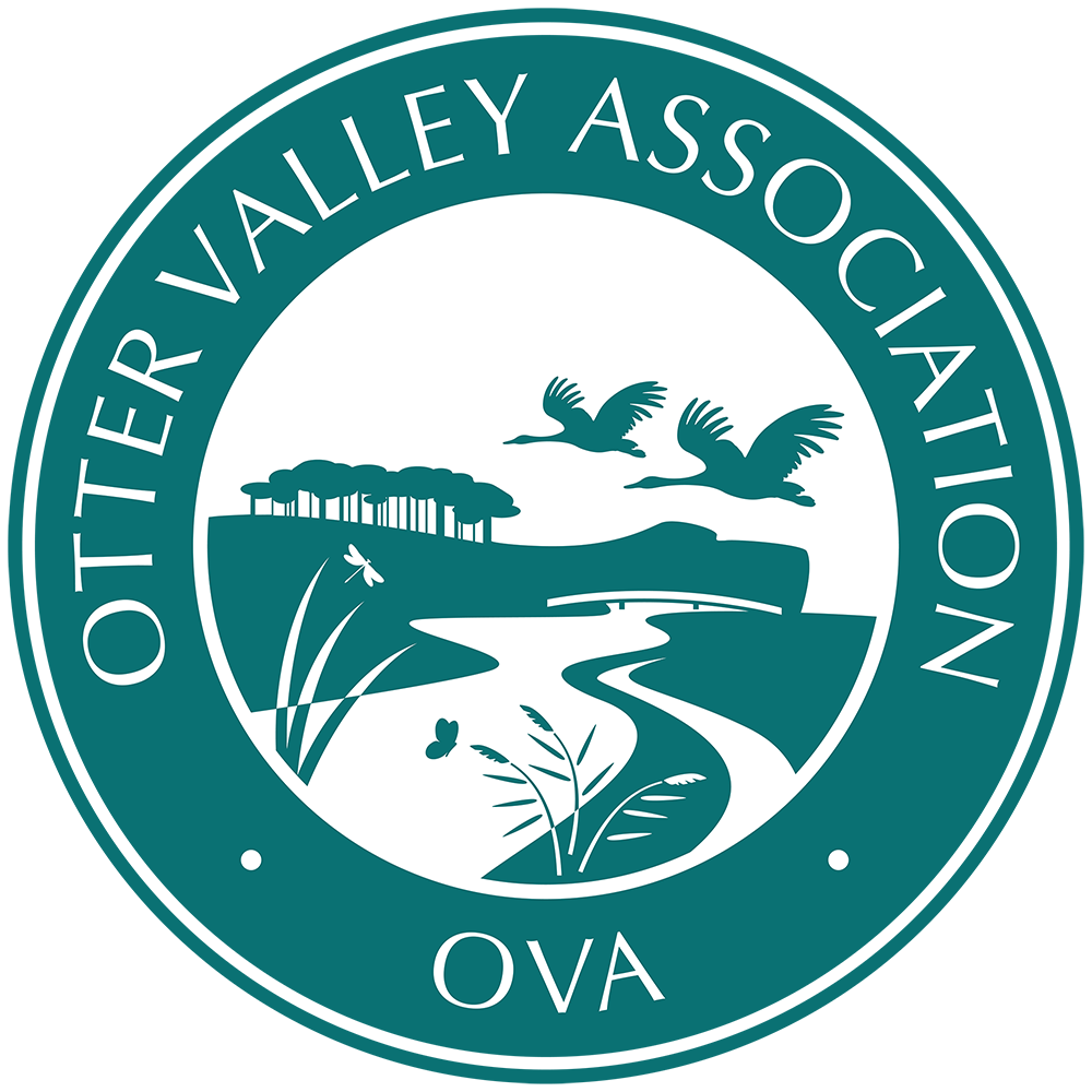 OVA logo