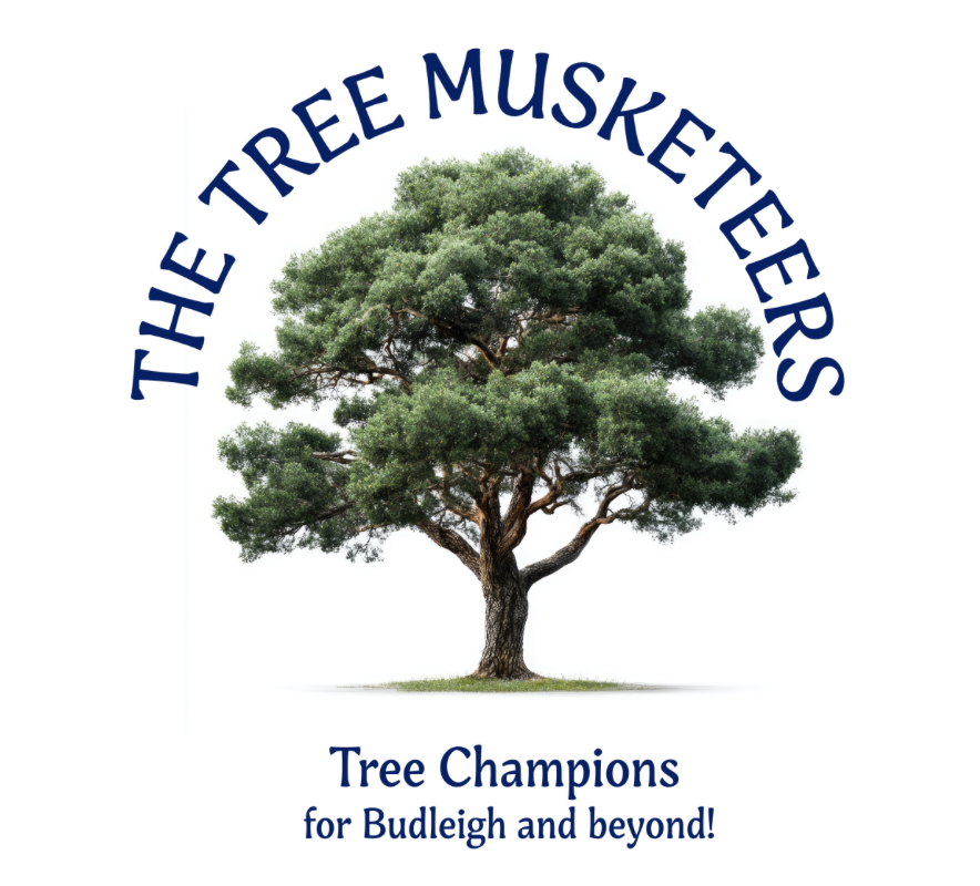 The Tree Musketeers