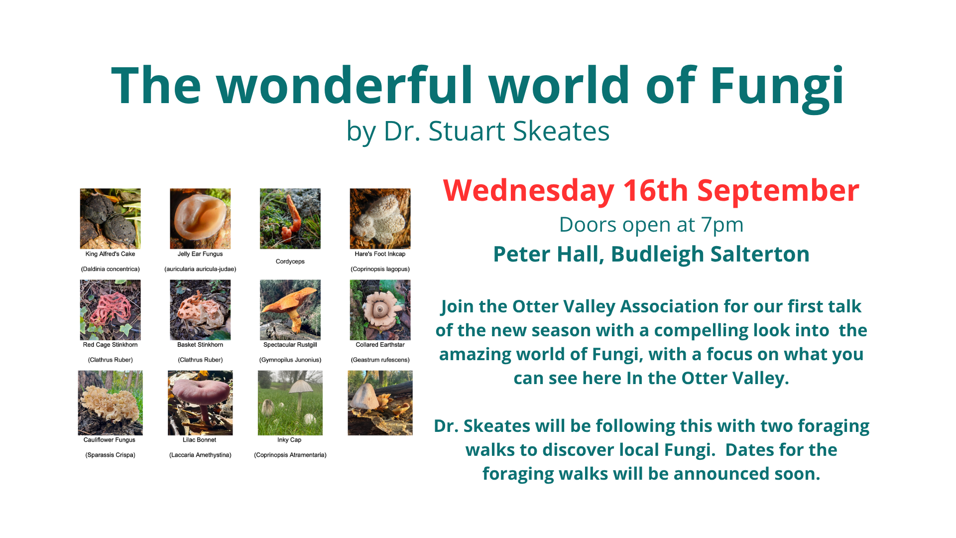 An OVA talk about Fungi in the Otter Valley